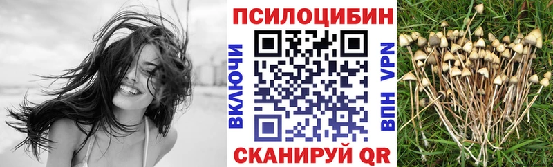 Галлюциногенные грибы GOLDEN TEACHER  что такое наркотик  Каменка 